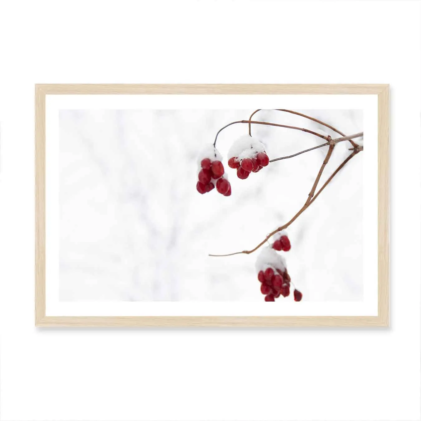 Christmas Berries Wall Art Print