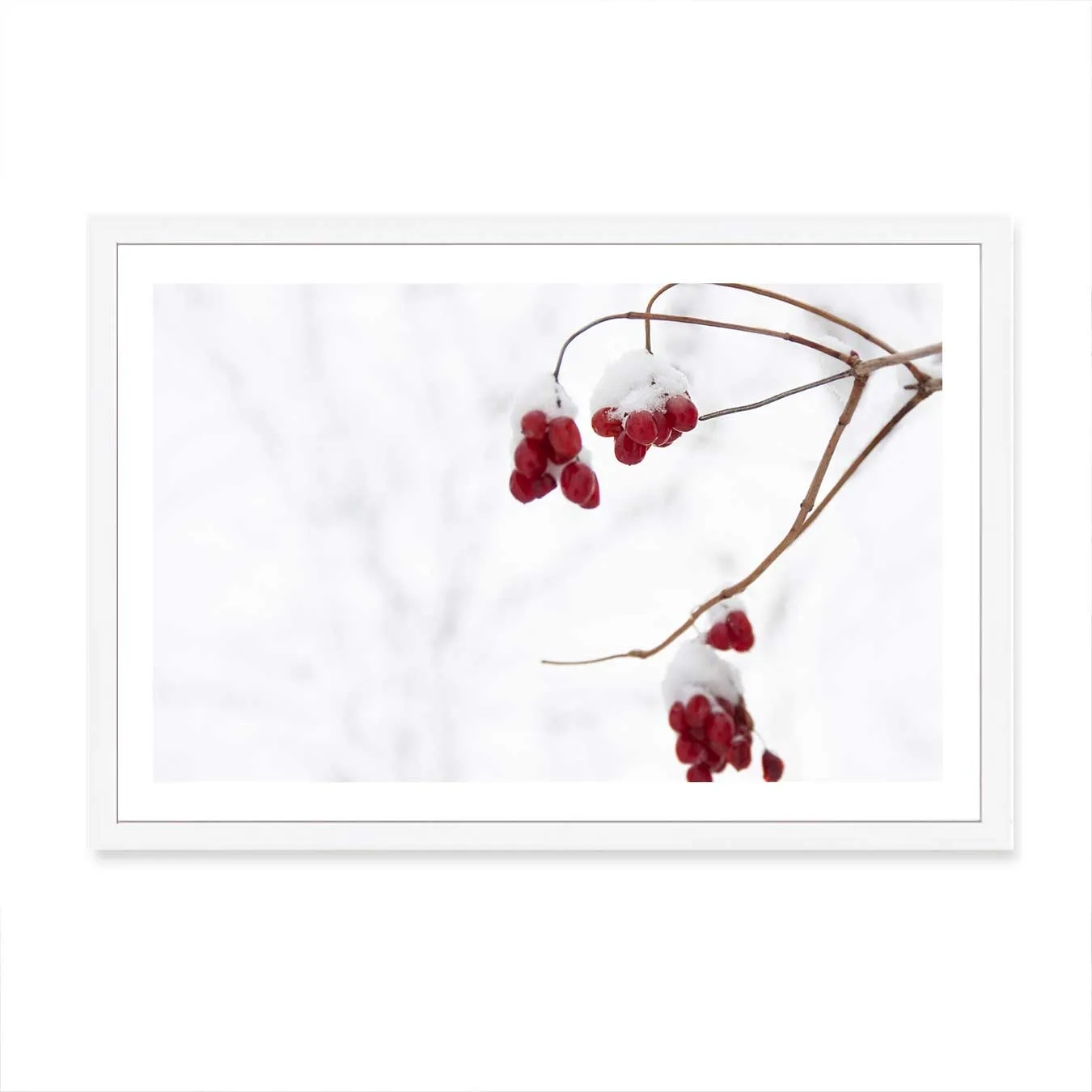 Christmas Berries Wall Art Print