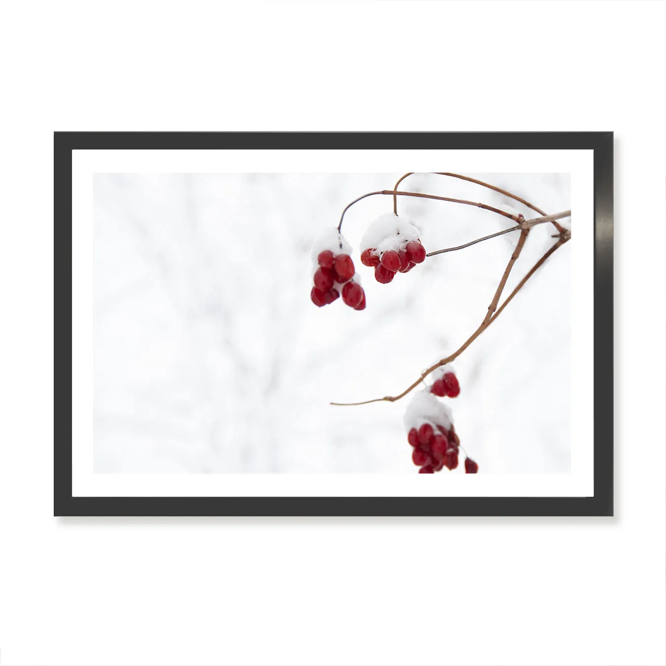 Christmas Berries Wall Art Print