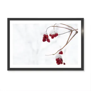 Christmas Berries Wall Art Print