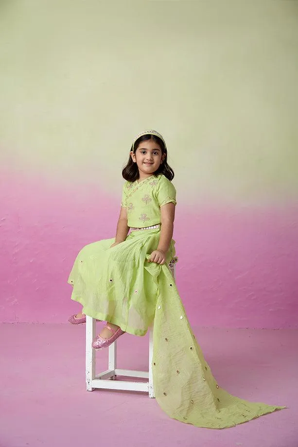 Dainty Garden- Lime Hand Embroidered Crop top, Skirt and Dupatta Set for Girls