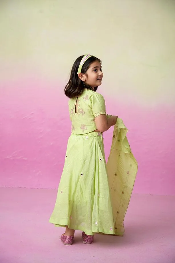 Dainty Garden- Lime Hand Embroidered Crop top, Skirt and Dupatta Set for Girls