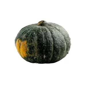 Green Pumpkin 1 pcs